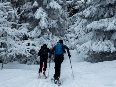 Превью публикации Коньки, лыжи и горки: какие активности выбрать зимой незрячему человеку