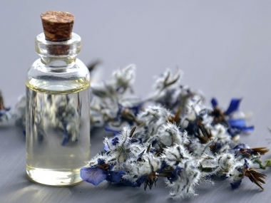 превью публикации Музей «Гараж» выпустил подкаст о парфюмерии и ее влиянии на человека